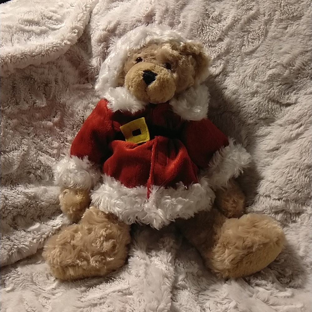 Santa Claus Teddy Bear